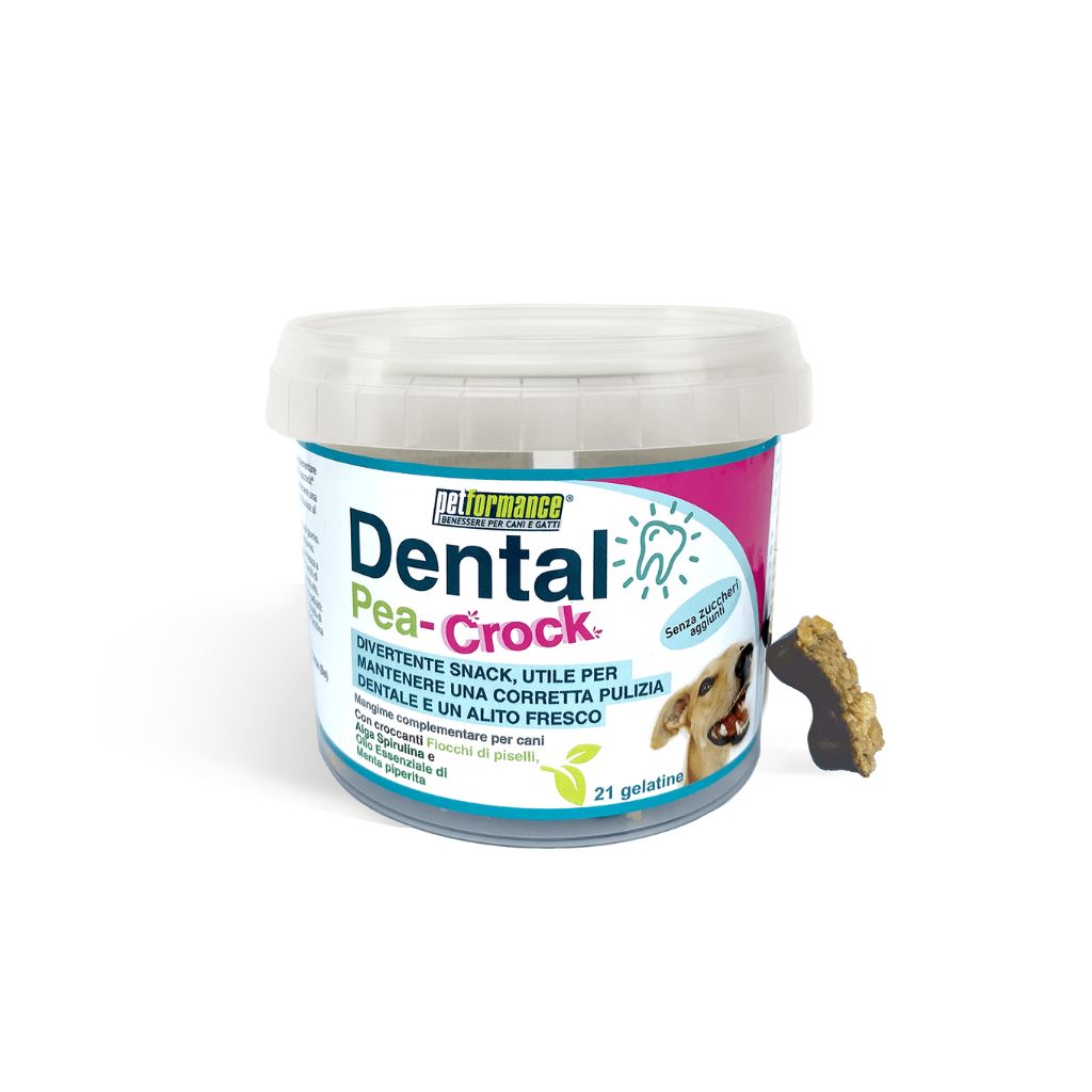 DENTAL PEACROCK (21PZ)