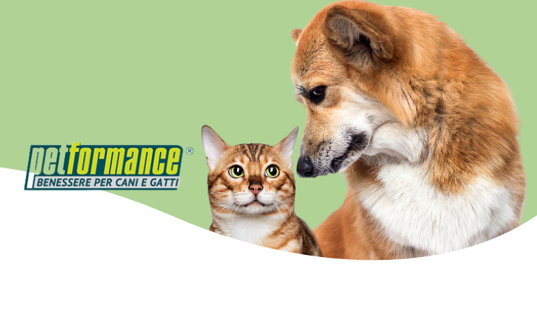 Petformance – Articoli per la salute, il benessere e l’igiene di cani e gatti