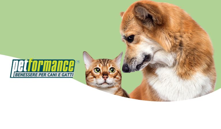Petformace-Benessere per cani e gatti 